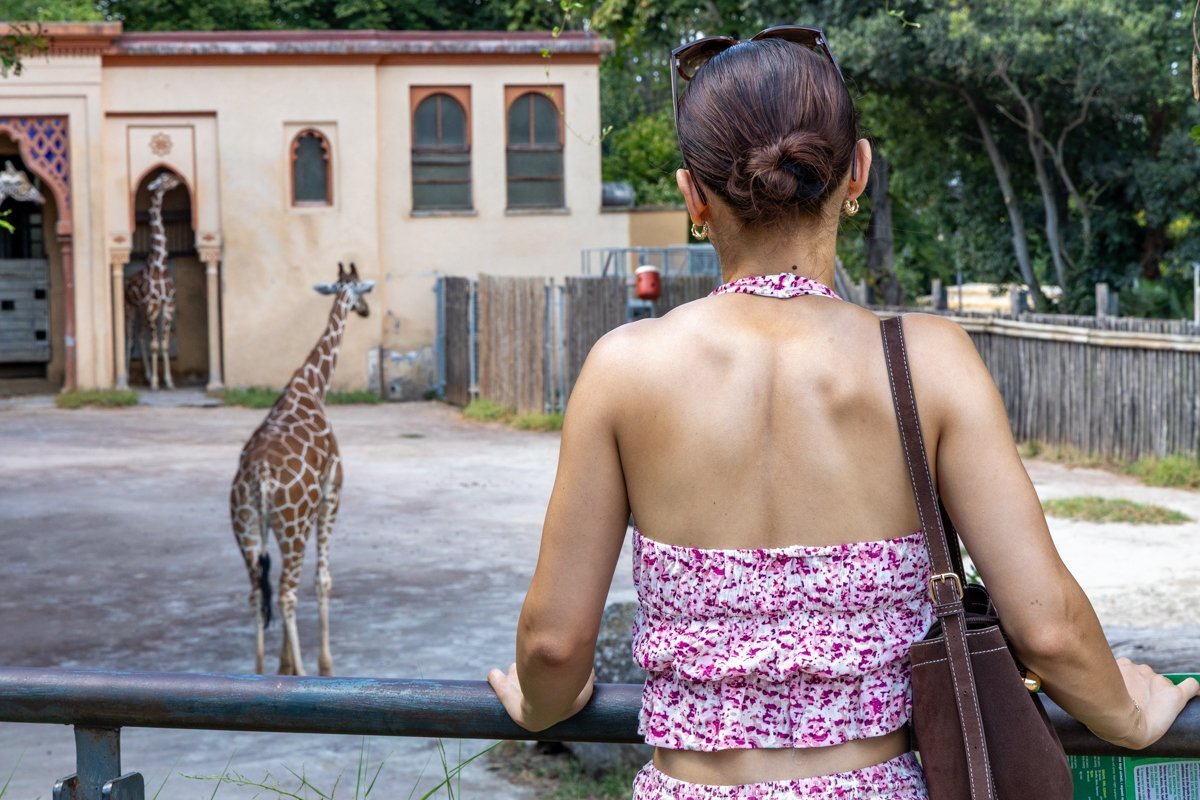 Personne face à une girafe au Bioparco