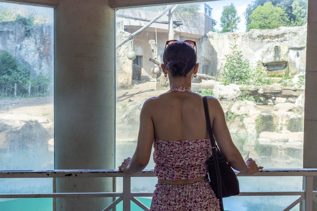 Personne face à un bassin au zoo