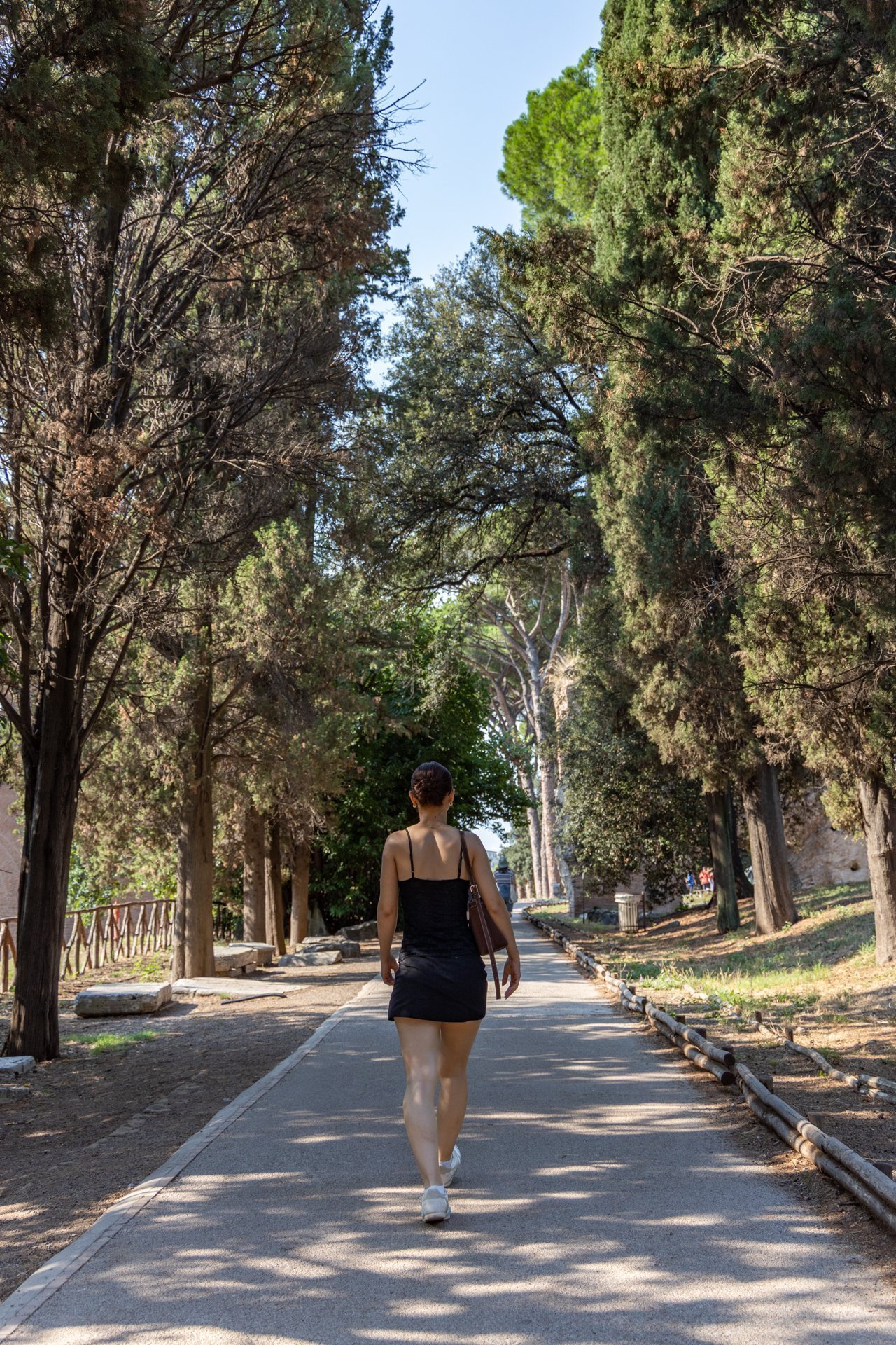 Chemin sur le site