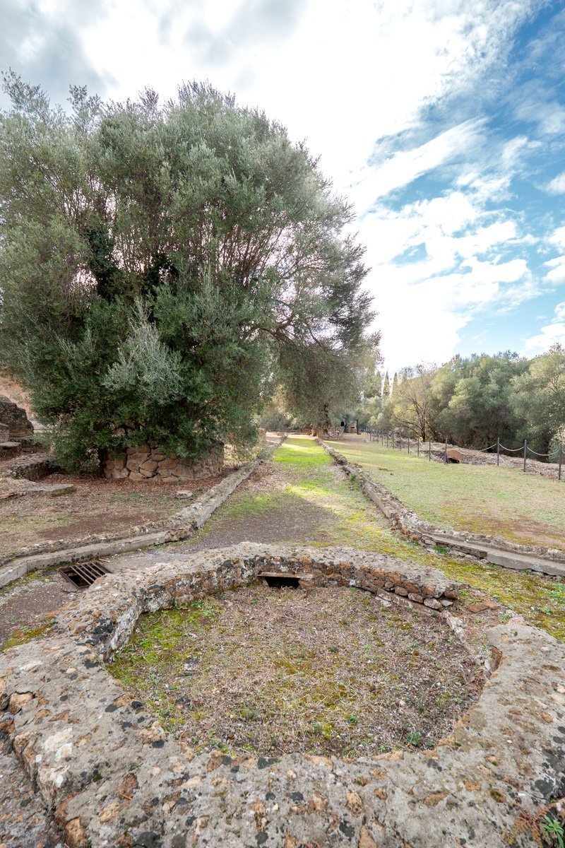 chemin bibliothèque