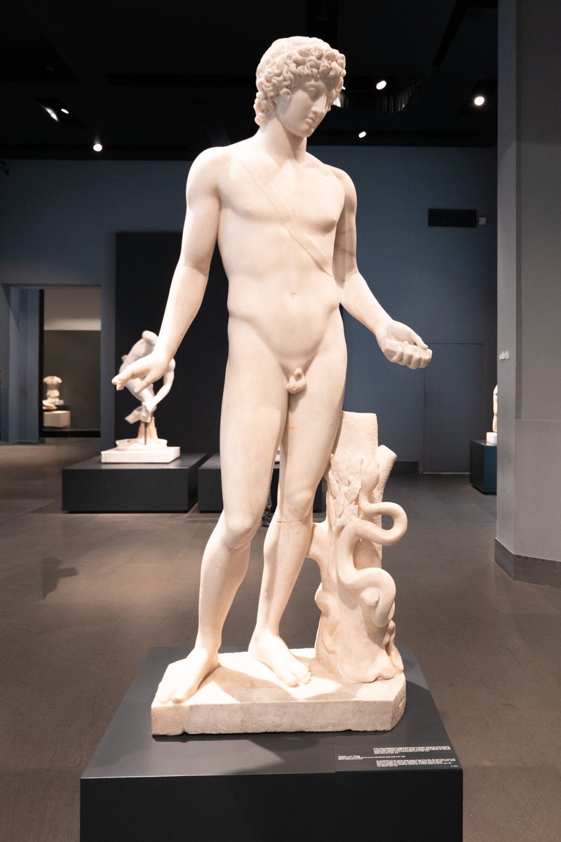 jeune garçon près d'un tronc