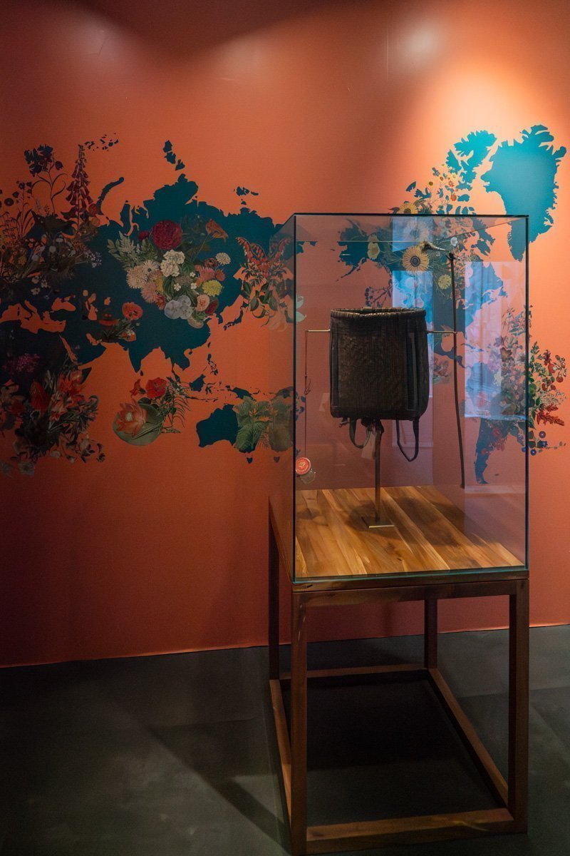 carte du monde fleural