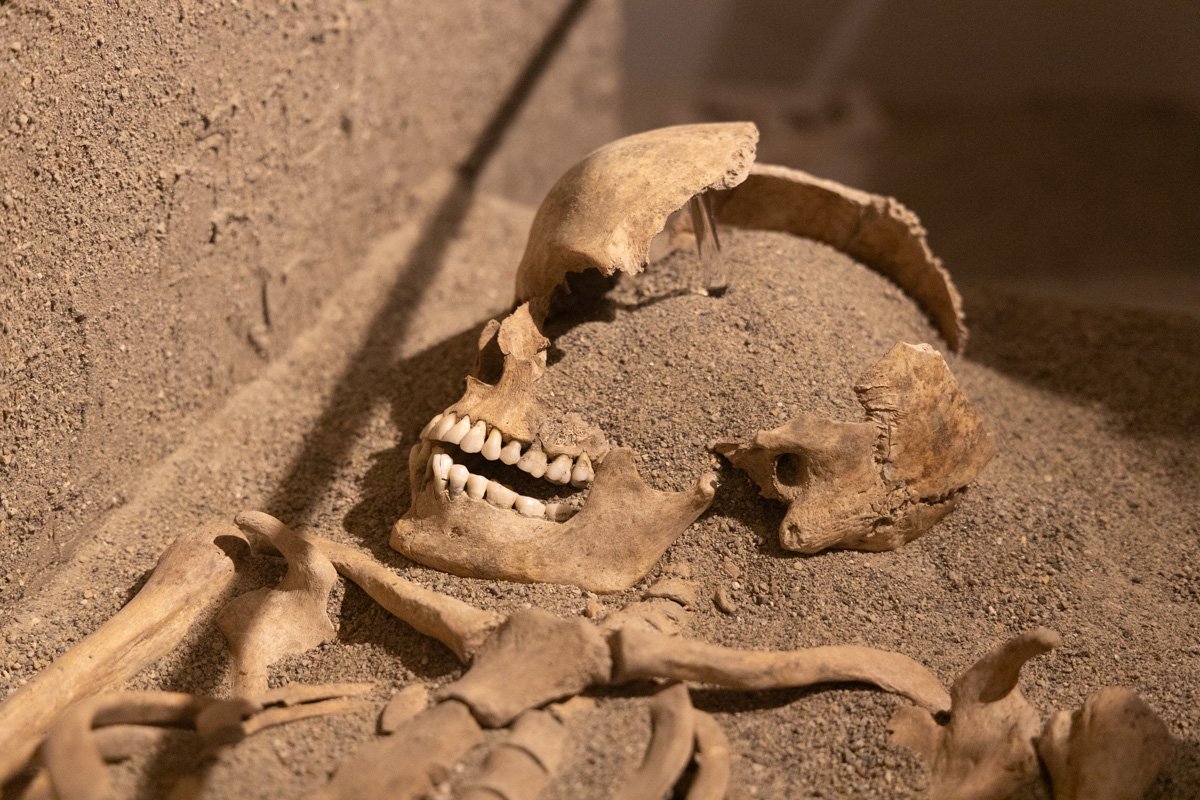 reste de corps humain