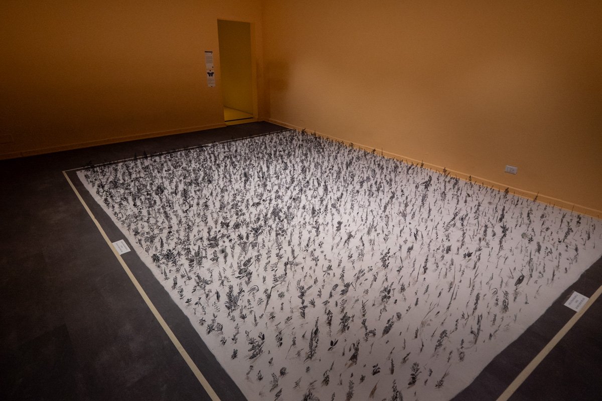 salle des petites fleurs