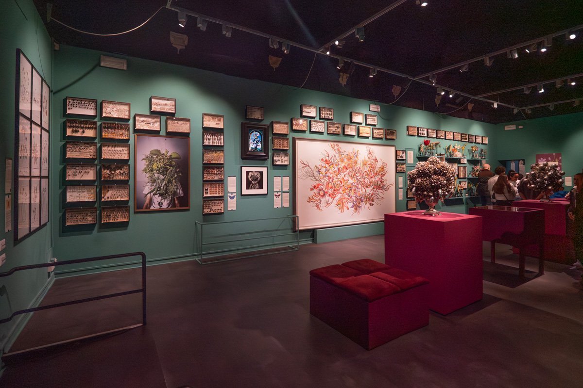 salle présentation principale