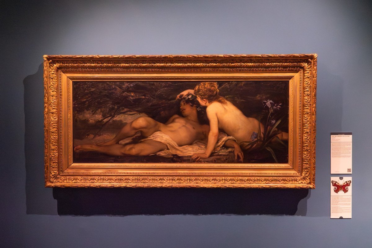 tableau thème papillon