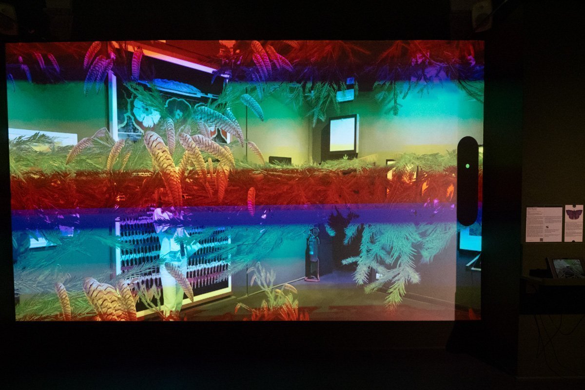 video projection participative