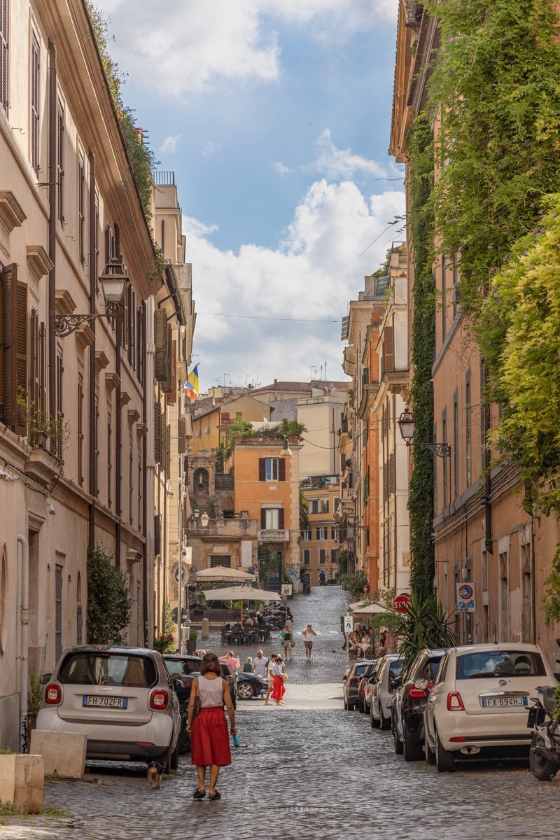 ruelle pavées avec végétation