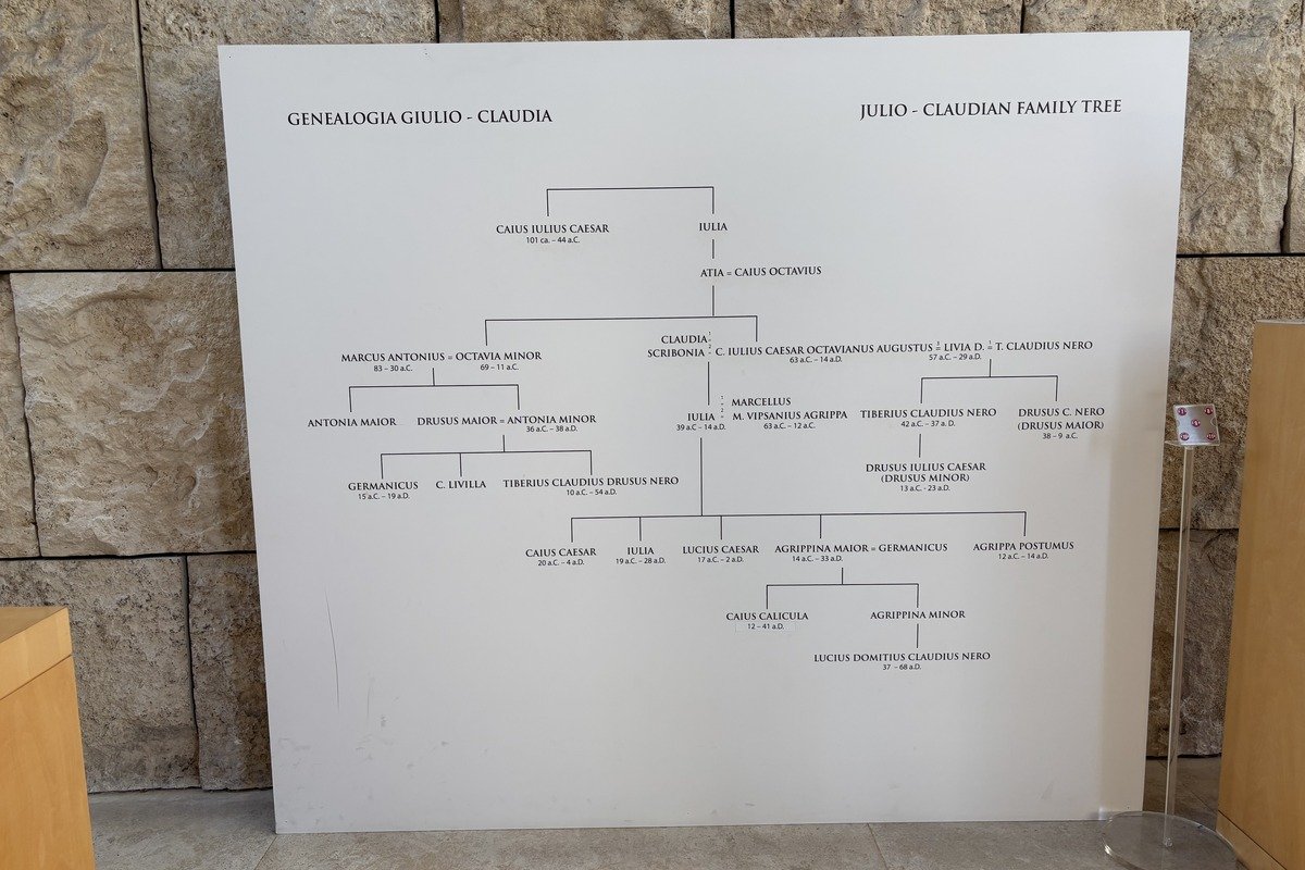Panneau d'arbre généalogique de la dynastie Julio-Claudienne sur fond blanc