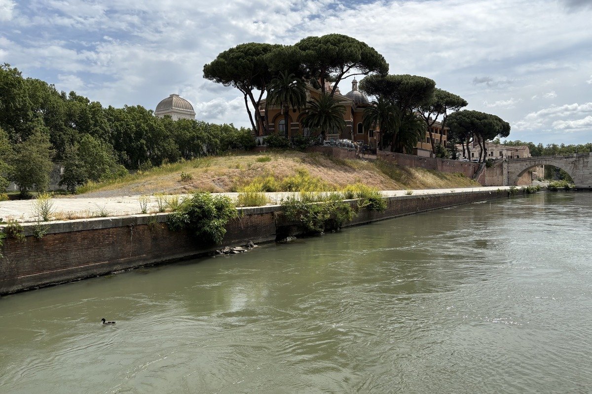 Île fluviale avec pins parasols, végétation et bâtiment à coupole