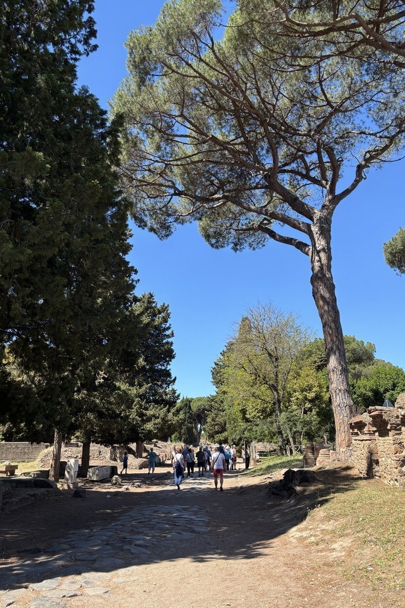 Allée pavée ancienne bordée d'arbres à l'entrée d'Ostia Antica