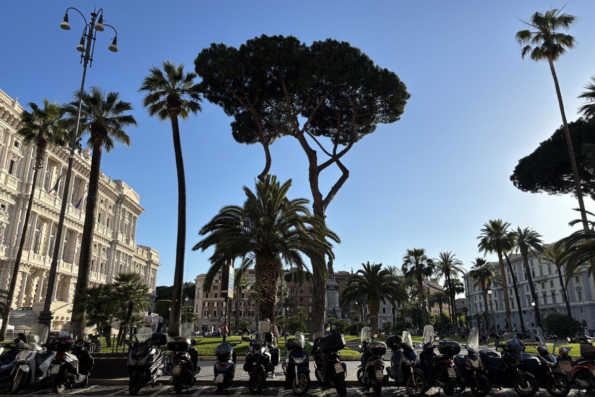 Place urbaine avec palmiers, pins parasols et rangée de scooters garés